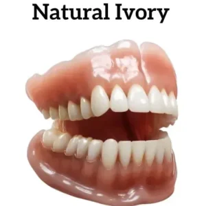 Smileasego™ – Premium Denture